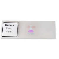 WBC Blood Smear Microscope Slide